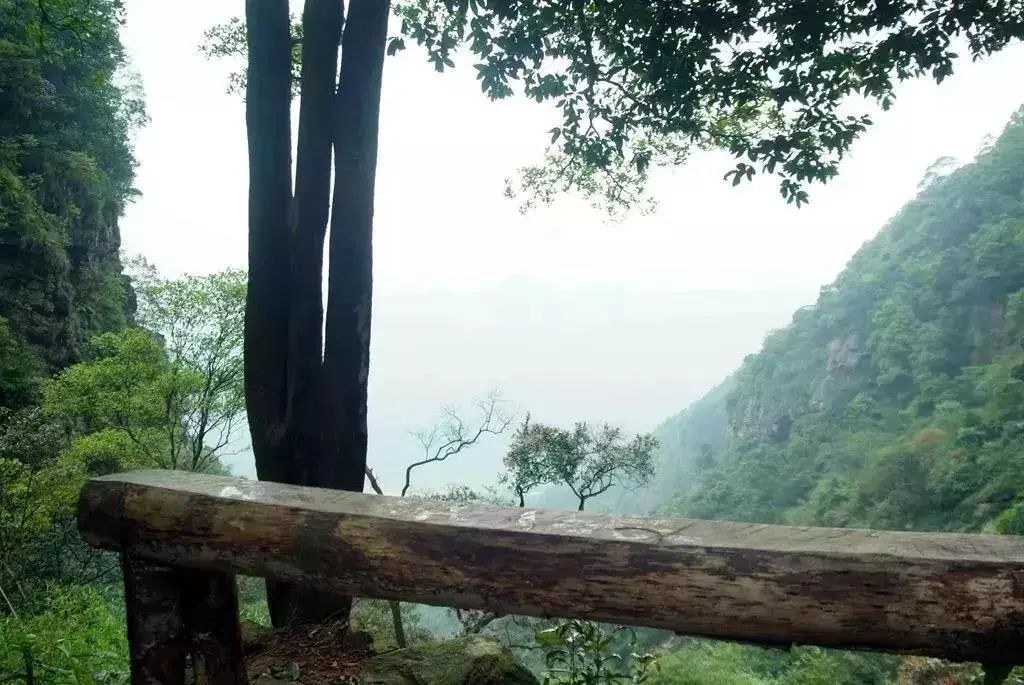 鑻卞痉涔濆窞椹跨珯鏍戜笂娓╂硥鏅偣,鑻卞痉涔濆窞椹跨珯鏍戜笂娓╂硥鎴夸环