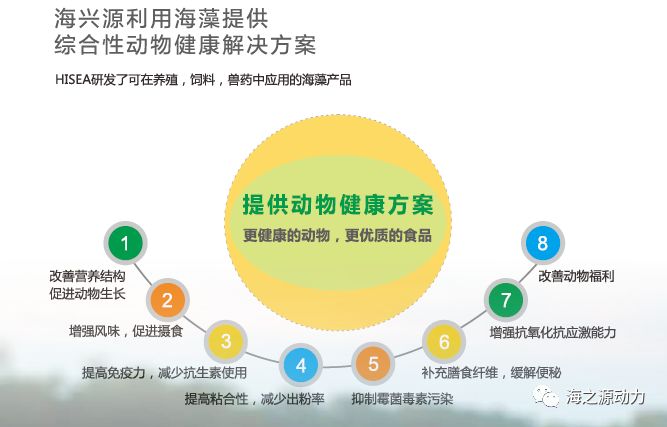浒苔营养成分分析与投喂刺参试验