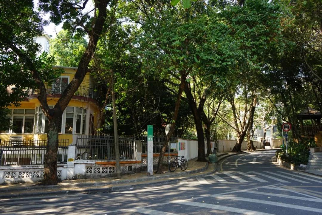 华侨新村，羊城闹市中的世外桃源
