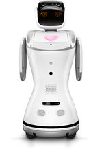 首个可自我繁殖活体机器人问世,机器人自我繁殖