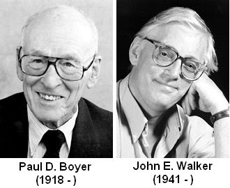 光合作用是什么具体过程,光合作用儿童科普