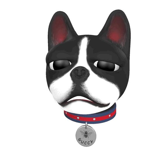 倪妮同款小猫咪,倪妮李宇春奇妙的动物