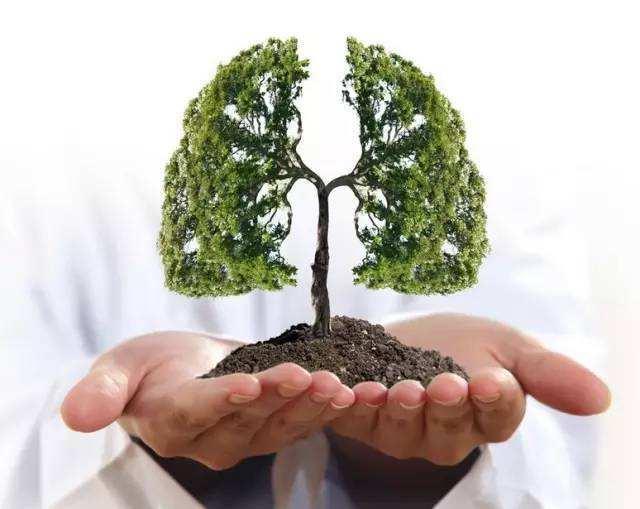 iii期非小细胞肺癌能活多久,iii期肺鳞癌免疫治疗