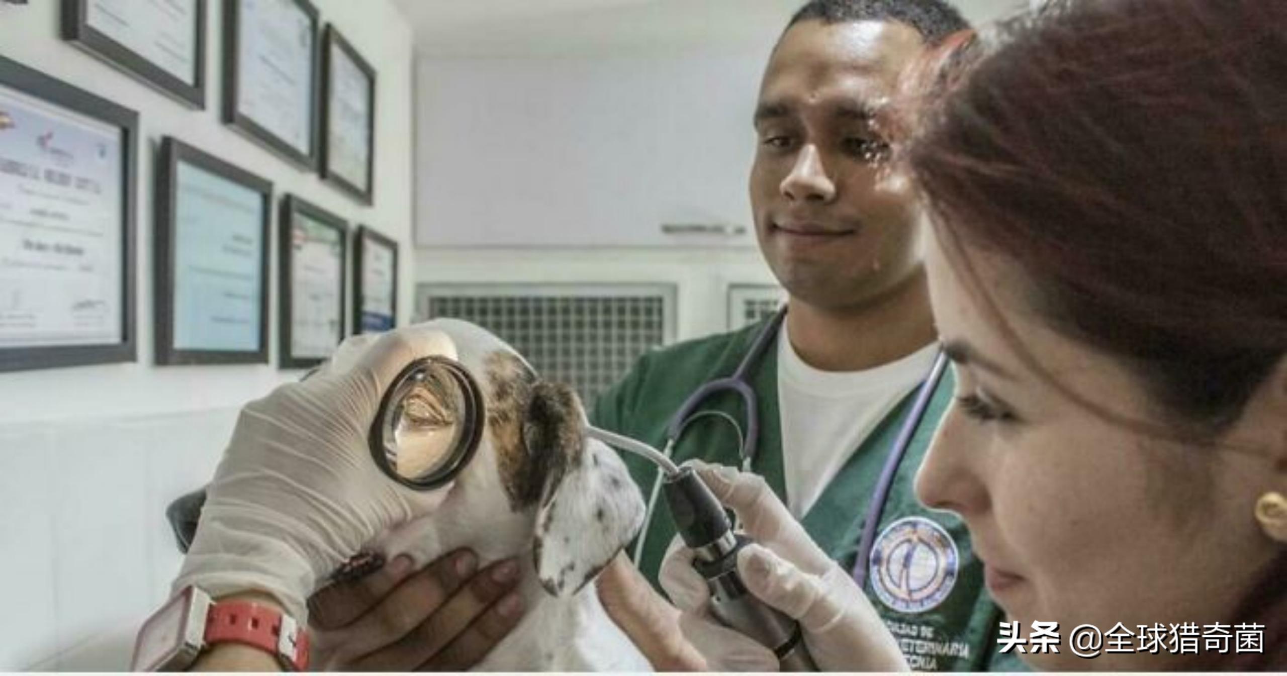 44张难以置信的图片,45张令人难以置信的图