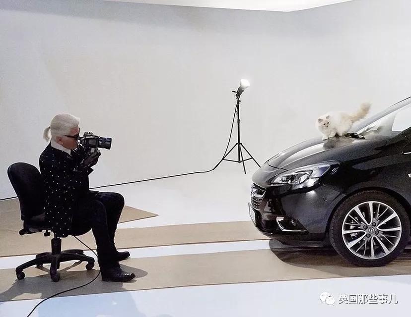 老佛爷的猫继承多少遗产,老佛爷去世后财产留给了一只猫