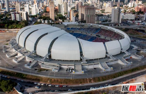 了解巴西简介,了解一下巴西的原始森林