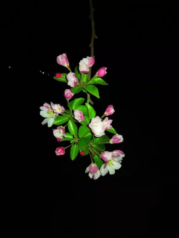 2022年世界手机摄影大赛征稿,手拍世界摄影网