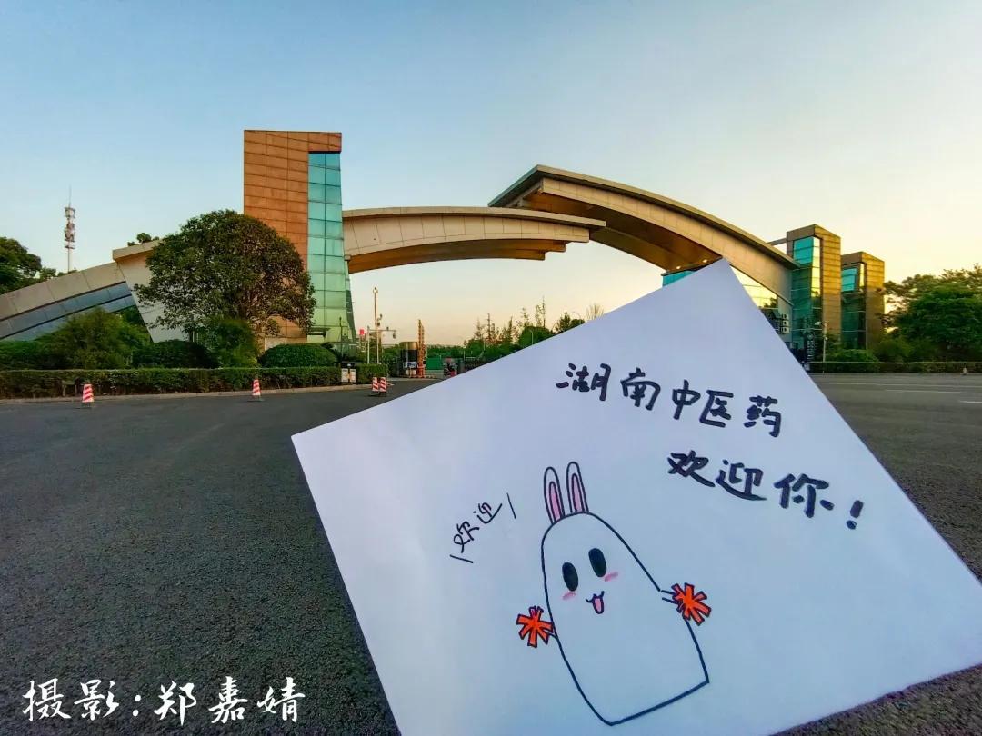 中医药文创设计大赛方案,中医药产品设计大赛作品