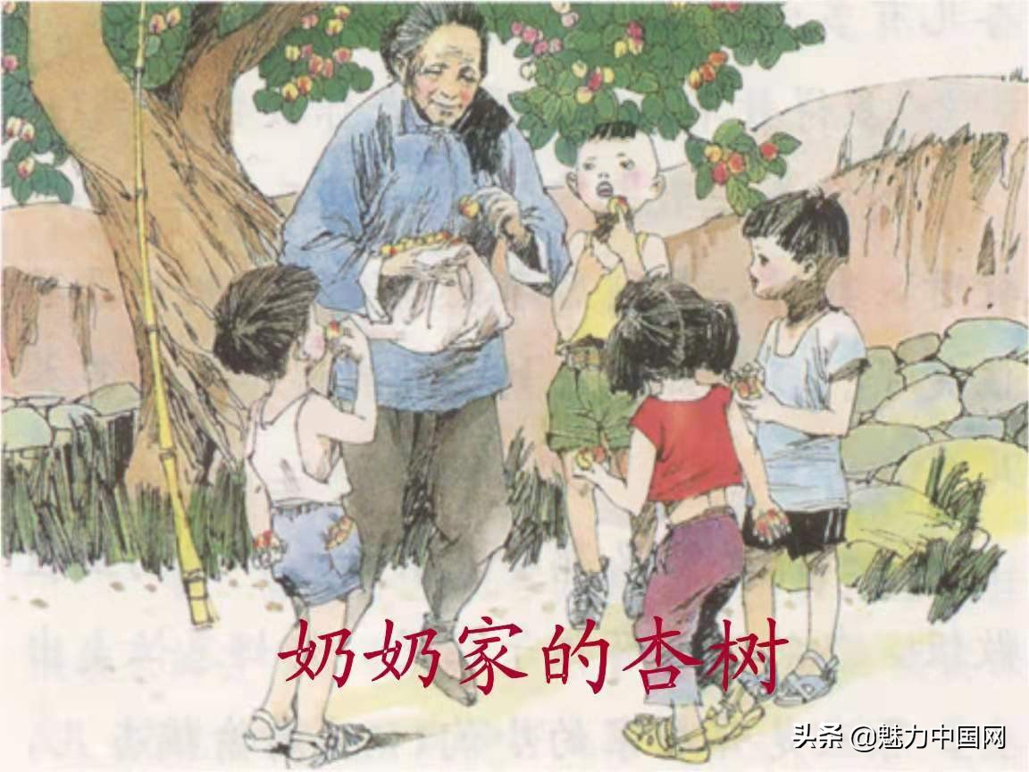 杏儿熟了课文,杏儿熟了原唱完整版