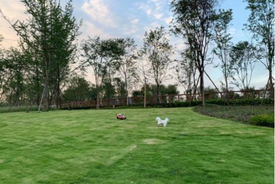 成都城北音乐公园,音乐公园成都露天乐园