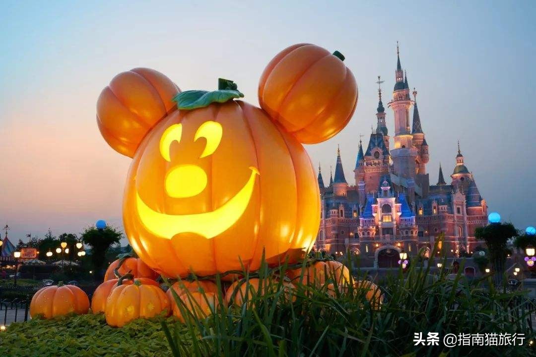 不给糖就捣蛋今夜万圣节惊喜连连,一起来捣蛋万圣节