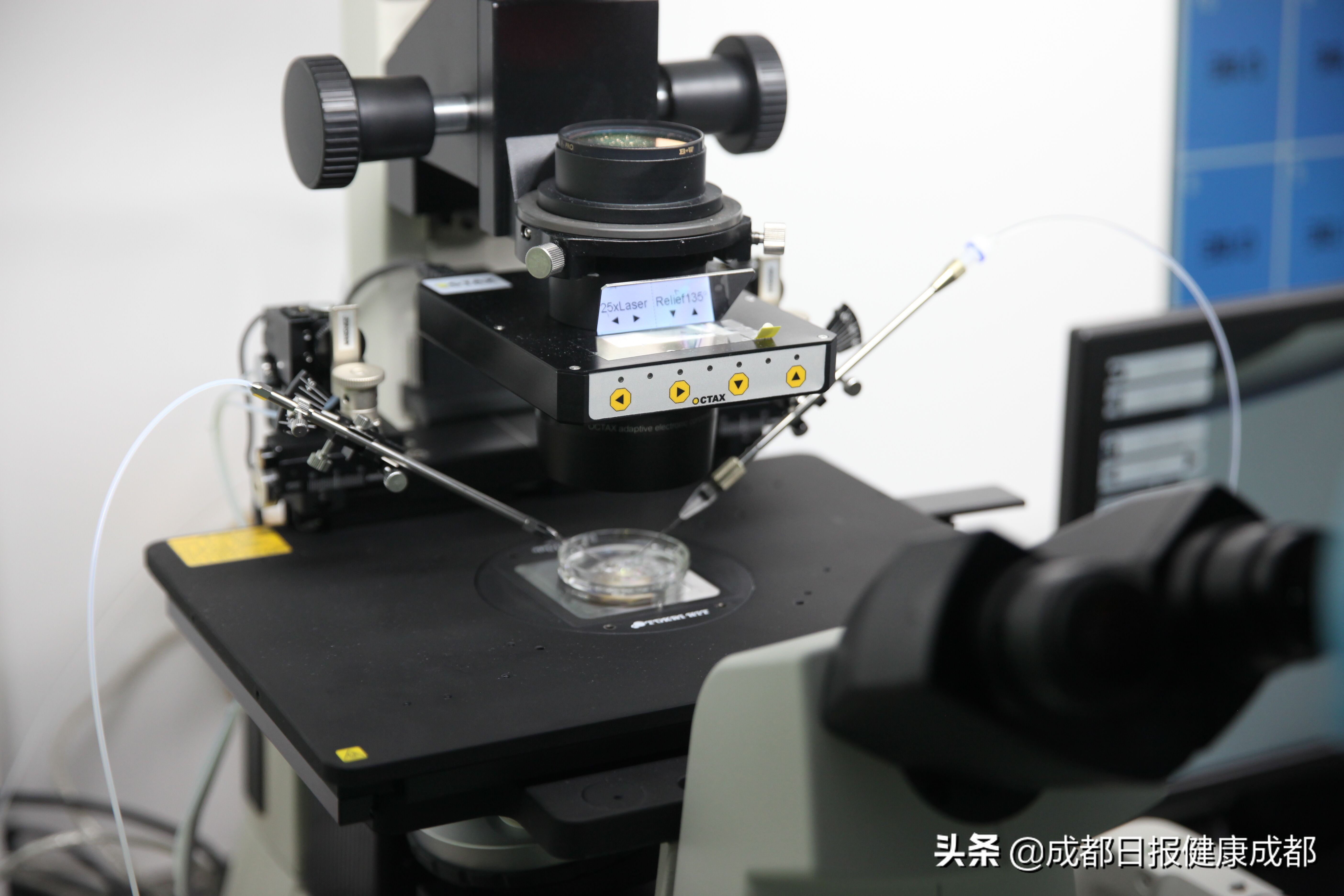 成都做试管婴儿是哪家最好,成都试管成功率排名