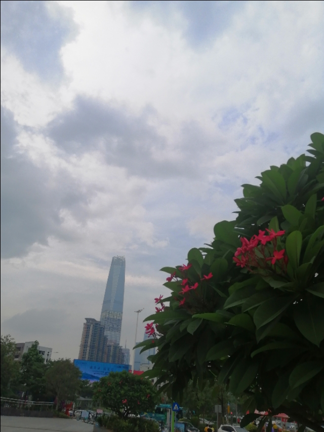 东莞旗峰公园掠影,东莞旗峰公园大体俯视图片