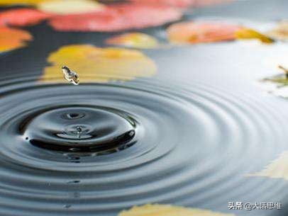 马云和马斯克之间的差距,你和马云之间最大的差距