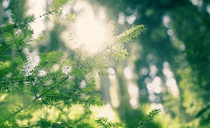 桂林出游农家乐,桂林附近避暑的农家乐