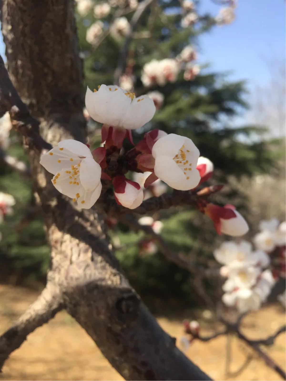 宅在家可以赚钱的方法,怎么在家用手机赚钱