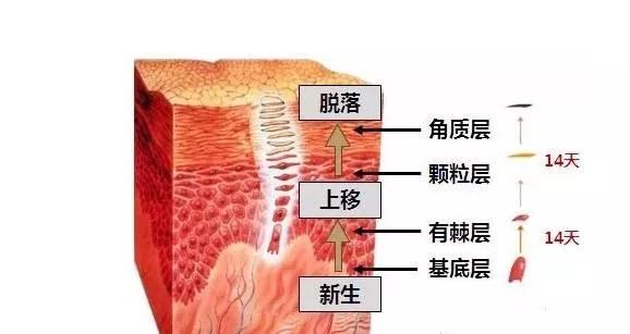 t区毛孔粗大怎么解决,鹤叔解决毛孔粗大