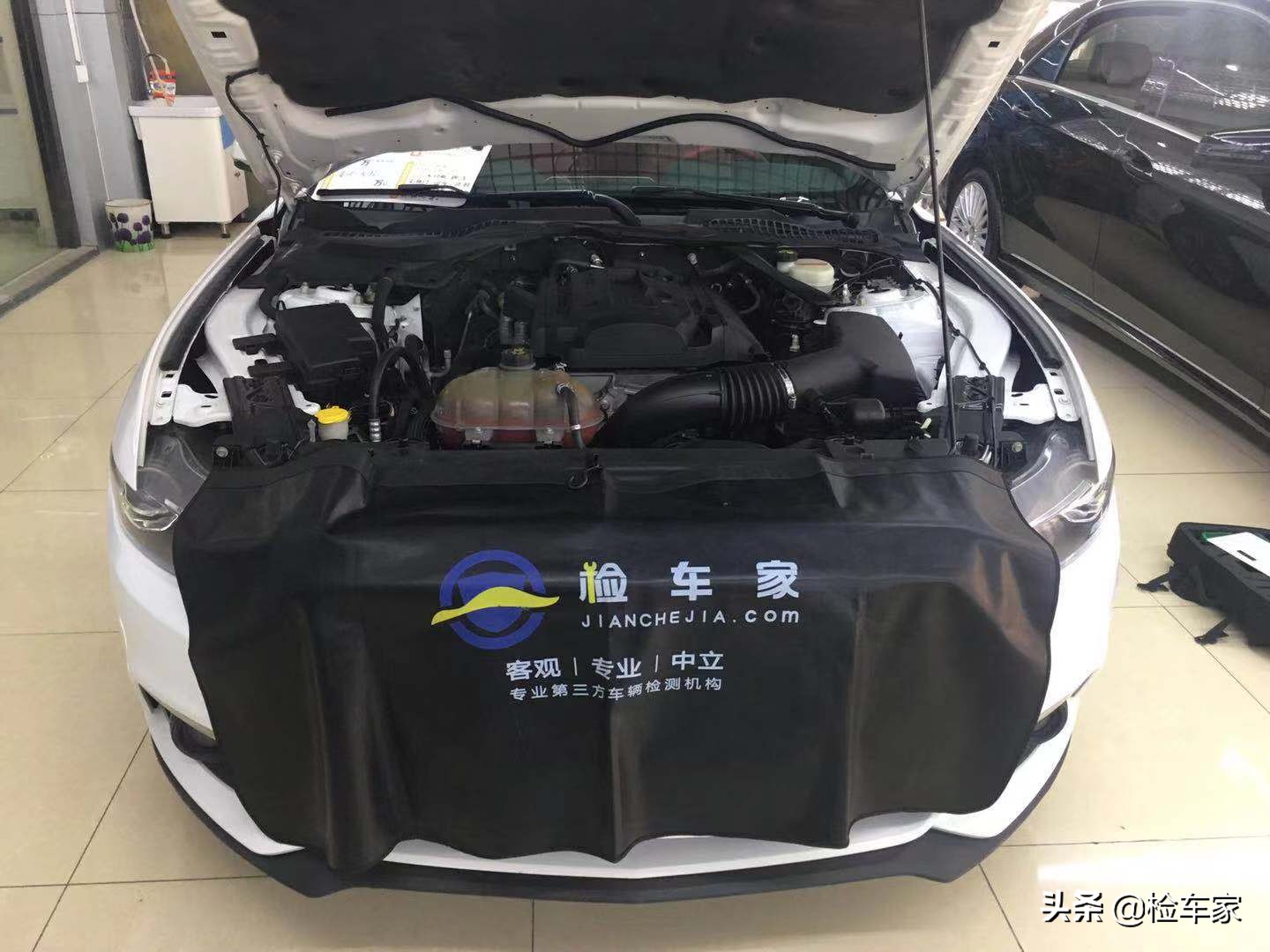 福特野马试驾平民级,25万左右买哪年的福特野马