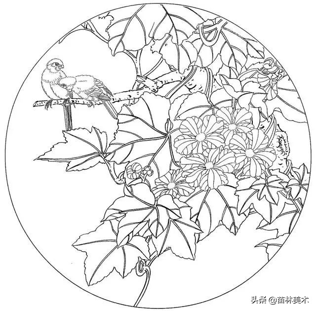 现代国画工笔花鸟白描及完整版,路雨年工笔白描花鸟团扇高清图片