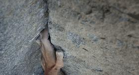 豆瓣9.0分以上的奥斯卡电影,豆瓣9.1分全程让人窒息