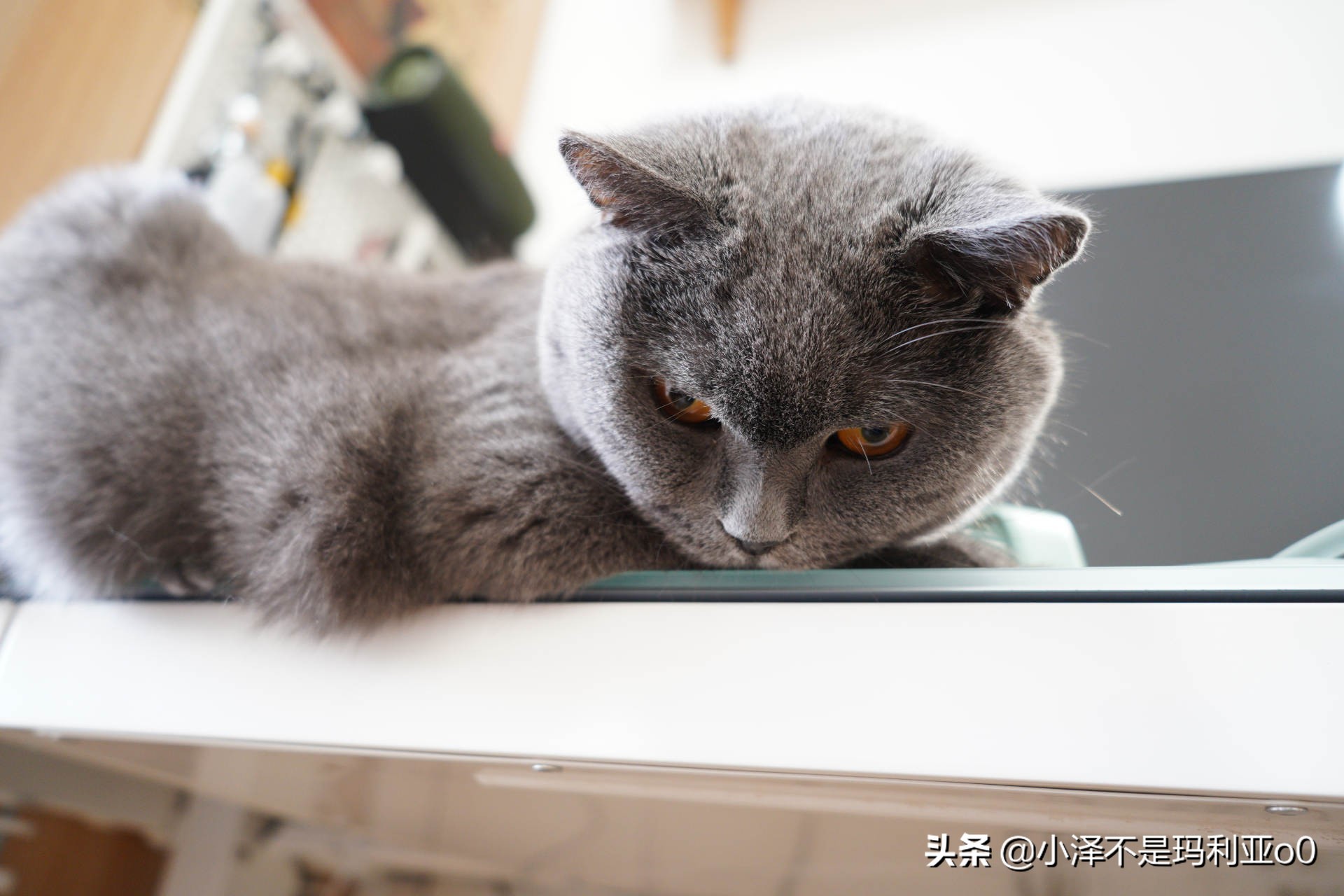 沉浸式整理书桌大改造不用收纳盒,桌面收纳整理神器省钱