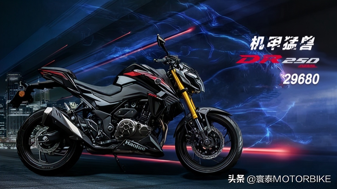 铃木gsx250r和dr250怎么选,铃木gsx250和dr250怎么选