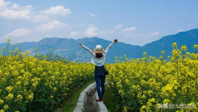 国家给创业扶持的新政策,国家最新创业政策和动向