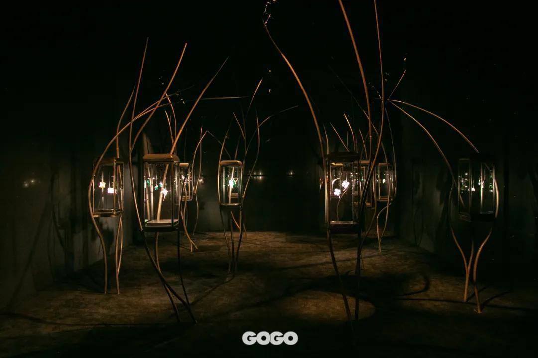 出席cindychao艺术珠宝大师展,cindychao艺术珠宝鉴赏