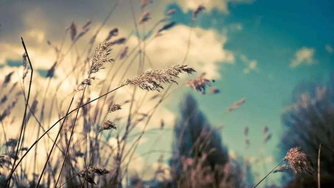 一个人生气了最能看出他的人品,了解一个人要看他生气时候的样子