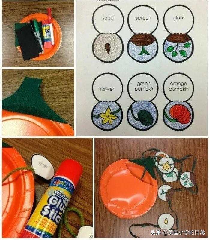 一个南瓜引发的学习激情，为何让美国孩子如此着迷？