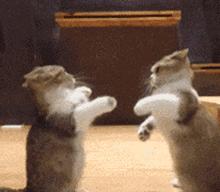 台式电脑提速50倍方法,电脑提速20%的方法