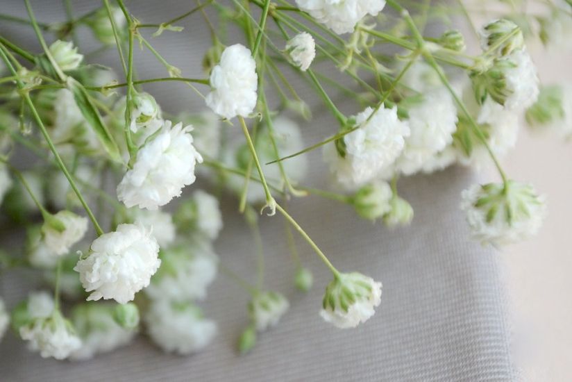 小学常用成语快为孩子收藏,几招搞定小学低年级孩子造句难题