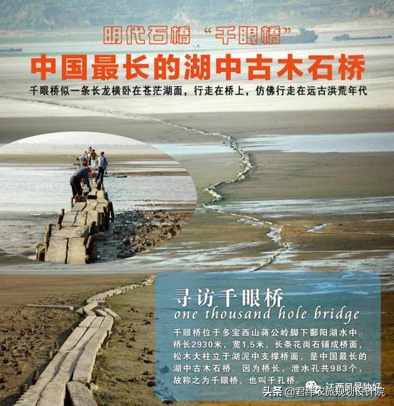 鄱阳湖候鸟保护区站长是谁,鄱阳湖候鸟江西都昌县