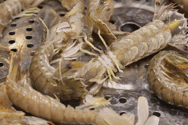 荣成最正宗的海鲜,荣成的小海鲜都有啥