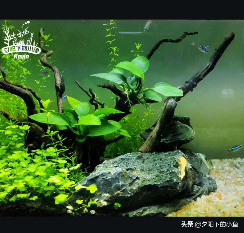 父子齐上阵全集,父子齐上阵完整视频