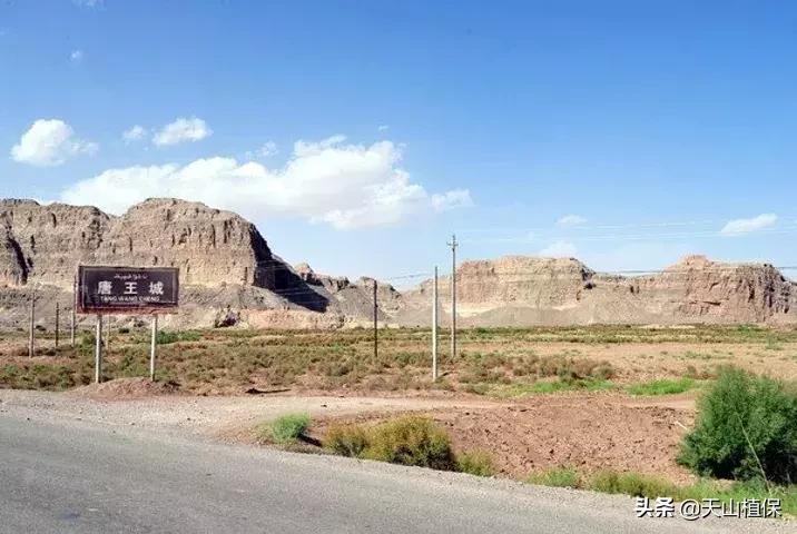 新疆的南疆图木舒克属于阿克苏吗,新疆图木舒克城市风景