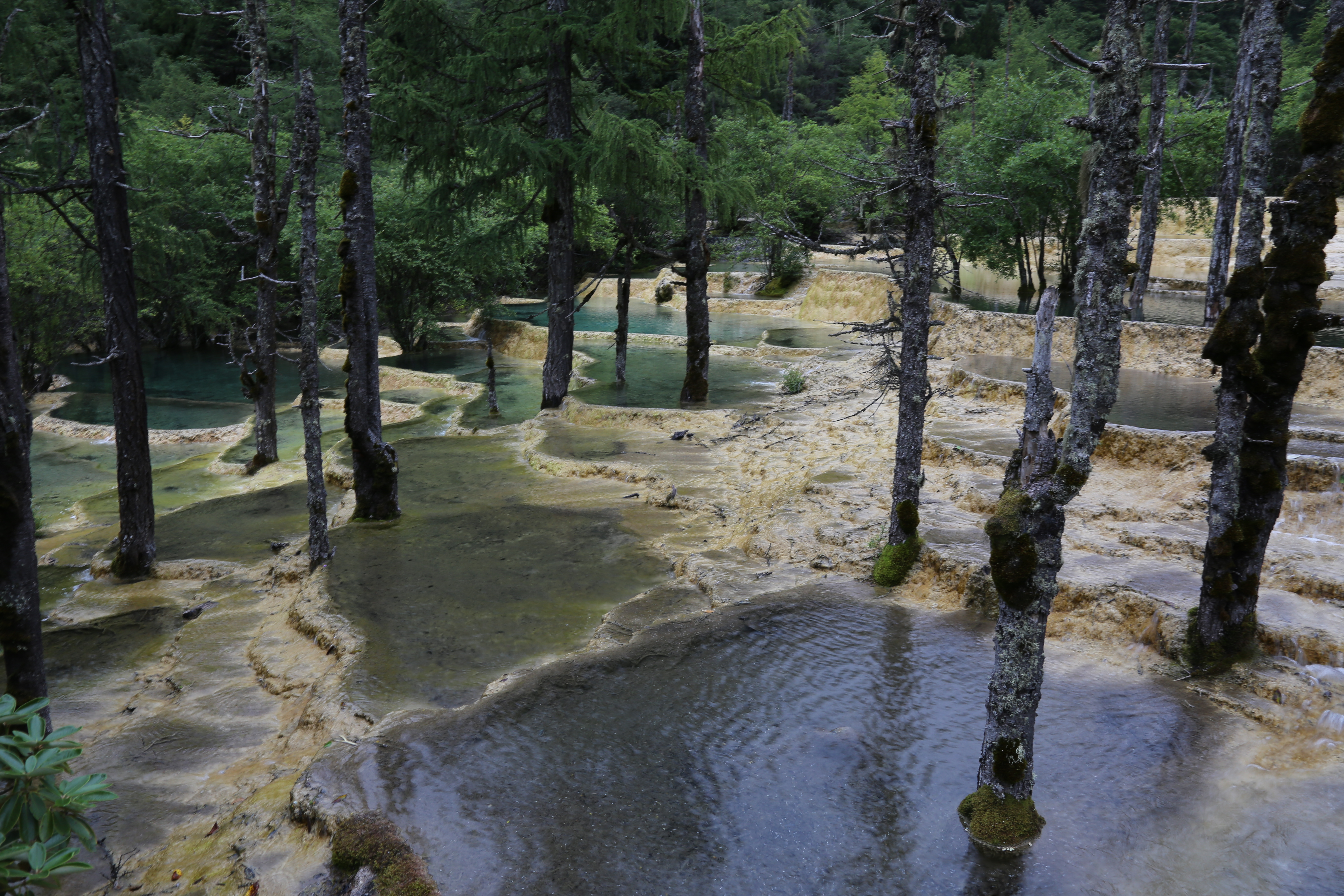 自驾游六——四川黄龙景区随笔
