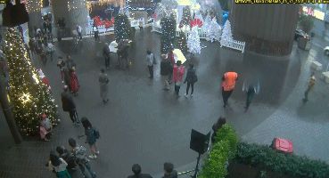 新西兰女孩被杀原因,2010新西兰女留学生被杀