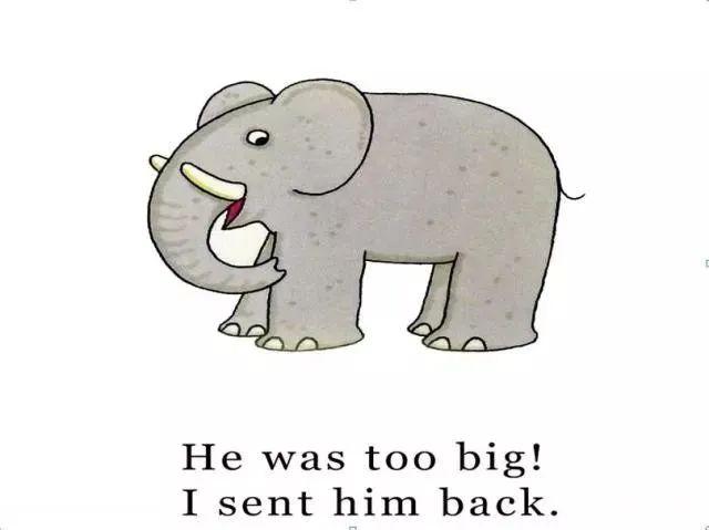 dearzoo英文绘本音频,dearzoo绘本讲解