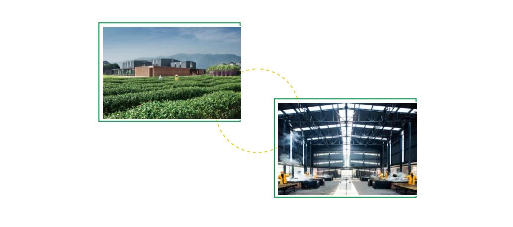 松阳古村落美如人间仙境的风景,在松阳的古村落里寻找诗和远方