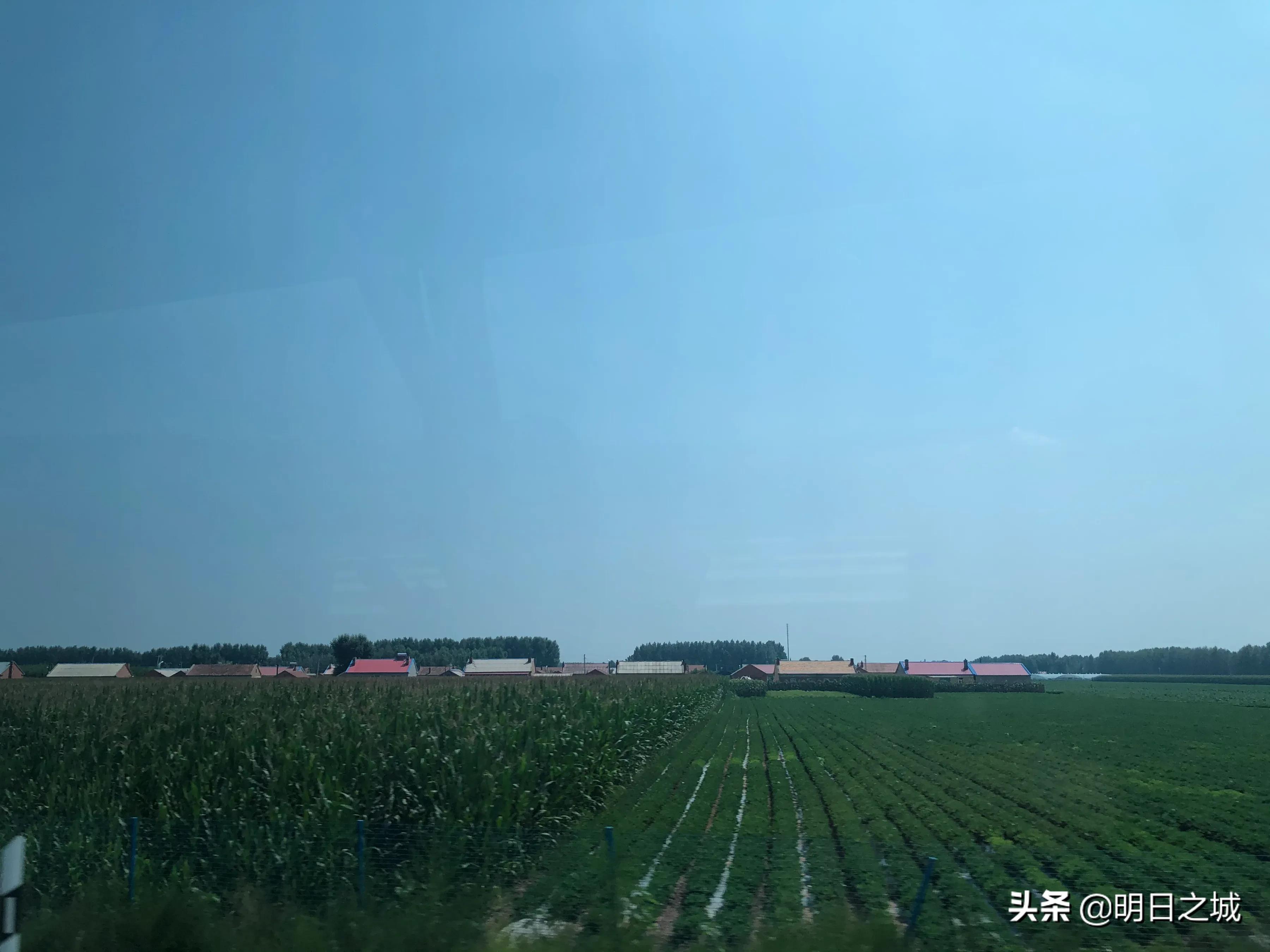 天下粮仓疫情防控片段,天下第一大粮仓榆树