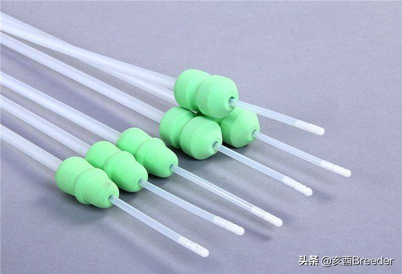 母猪输精详细操作流程,母猪输精基本操作流程