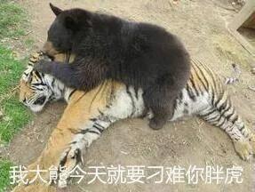 紧张想上厕所是什么原因,考试紧张想上厕所吃什么能缓解