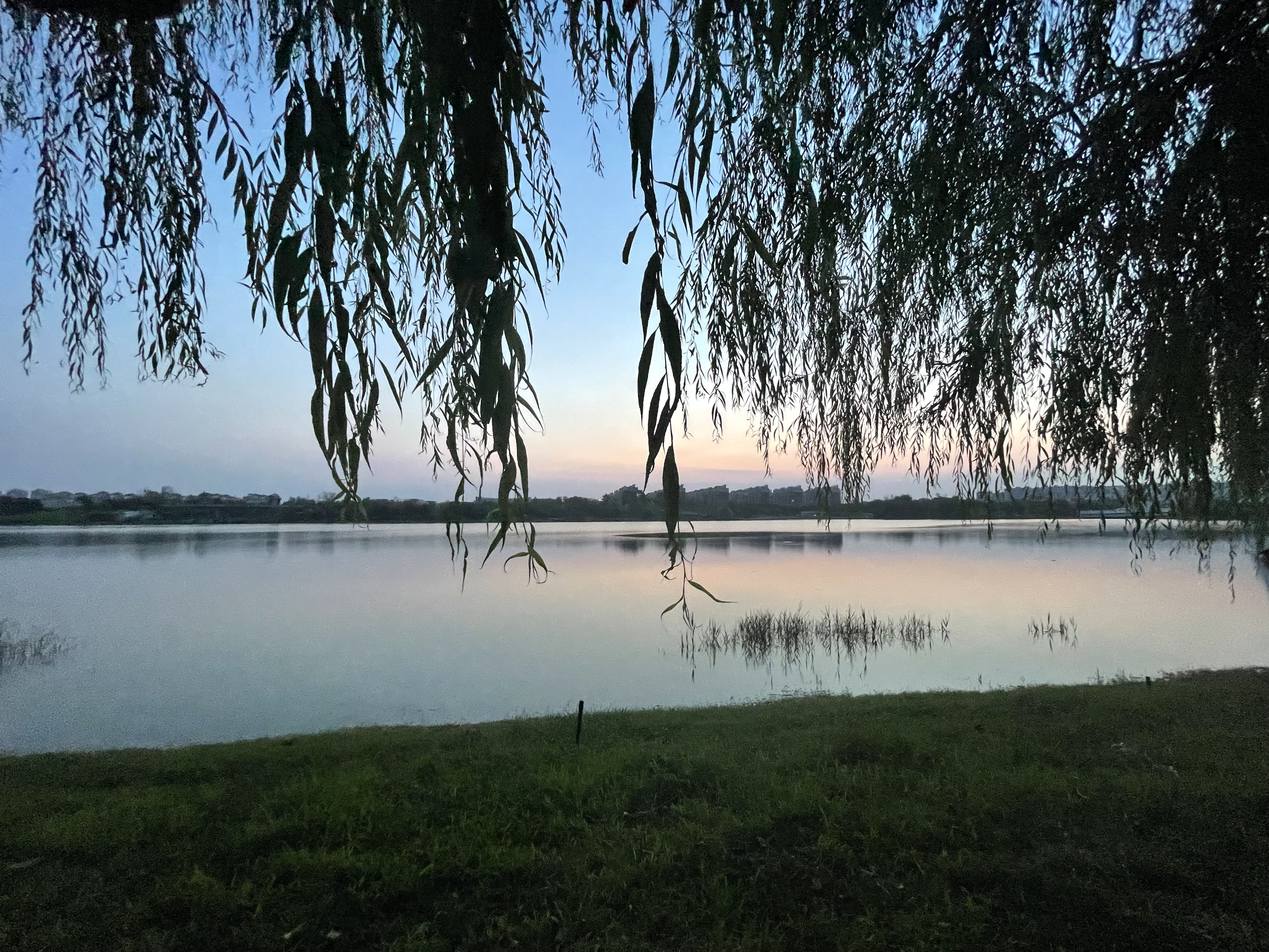 番茄小说推文甜宠偏执病娇文,每日推文超甜文病娇文