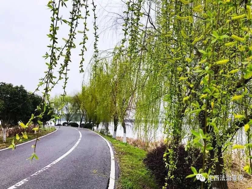 十年树木百年树人植树节演讲稿,十年树木百年树人植树节作文