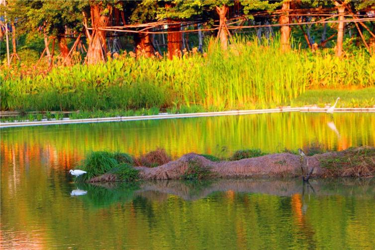 深圳到海南一周自驾游最佳方案,深圳周边旅游景点推荐自驾游