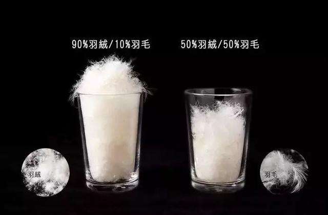 寒冷冬天穿羽绒服如何搭配才好看 (冬天的羽绒服怎么穿才好看)