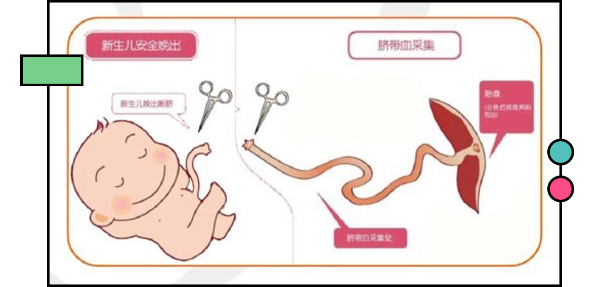 别再被假代购坑了,不要再被别人骗了
