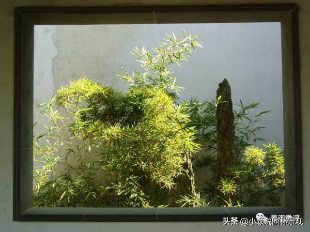 住宅小区植物配置方案,植物种植小技巧一览表图