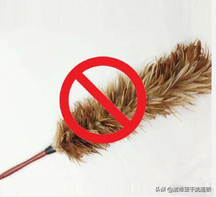 男子一周没回办公室，新买茶台竟长出这个，网友建议吃掉